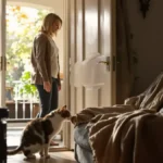 Featured image placeholder 16:9